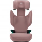 Κάθισμα αυτοκινήτου Britax Romer Discovery Plus i-Size Isofix  Dusty Rose (100-150cm)